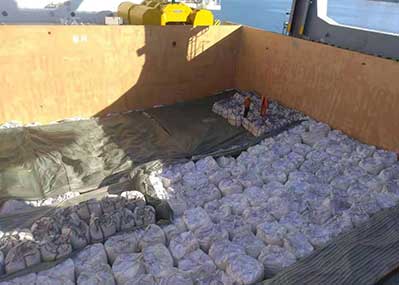 break bulk, Bagged Chemicals, chartering