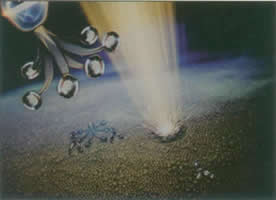 威廉希尔·(WilliamHill)中国官方网站