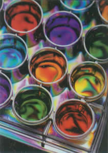 威廉希尔·(WilliamHill)中国官方网站