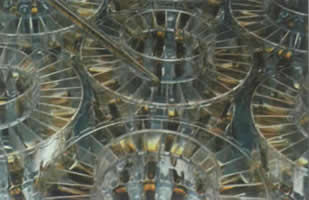 威廉希尔·(WilliamHill)中国官方网站