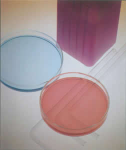 威廉希尔·(WilliamHill)中国官方网站