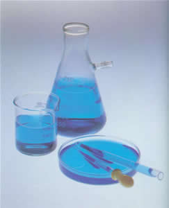 威廉希尔·(WilliamHill)中国官方网站