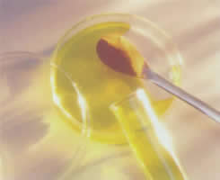 威廉希尔·(WilliamHill)中国官方网站