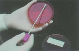 威廉希尔·(WilliamHill)中国官方网站