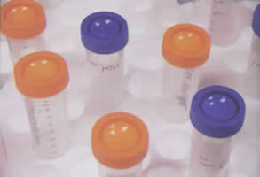 威廉希尔·(WilliamHill)中国官方网站