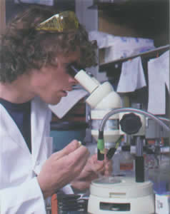 威廉希尔·(WilliamHill)中国官方网站