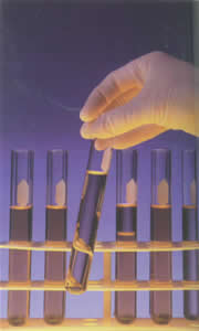 威廉希尔·(WilliamHill)中国官方网站