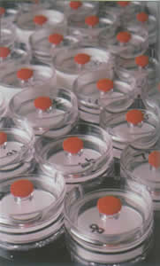 威廉希尔·(WilliamHill)中国官方网站